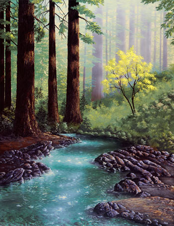 Patrick's Creek by Patrick O'Rourke
