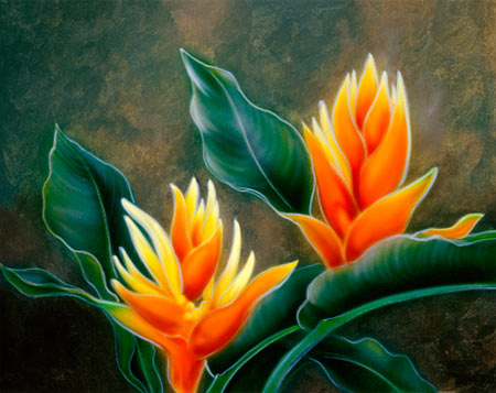 Tropical Flowers by Patrick O'Rourke