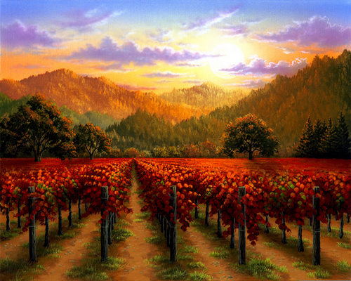 Fall Color at Sunset by Patrick O'Rourke