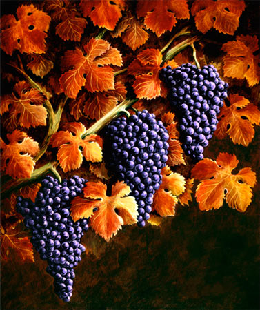 Late Harvest by Patrick O'Rourke